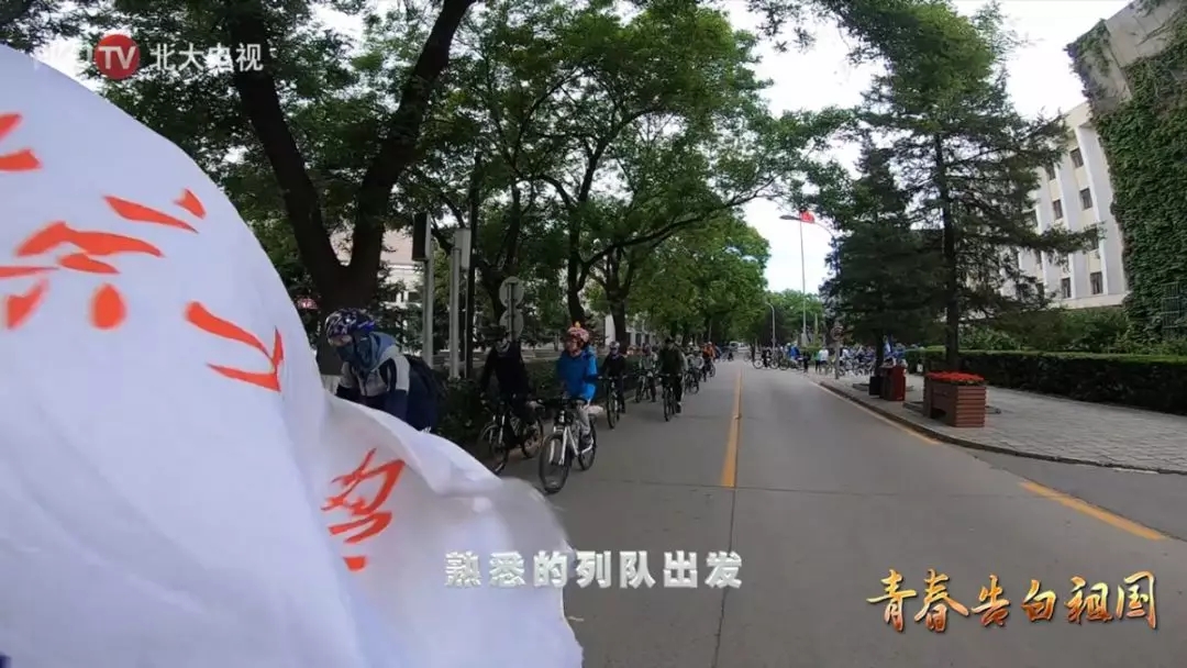 b2a8ea5159094fa7908342b4cd1c8c1a.jpg 640.webp (4).jpg