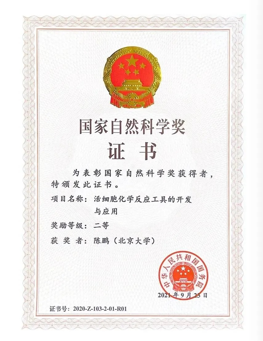 dce6f69cf6f040869eb8ff5ee0c5423f.jpg dce6f69cf6f040869eb8ff5ee0c5423f.jpg