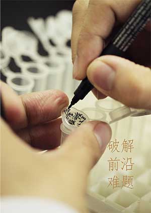 创新基金 创新基金