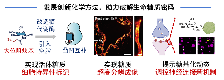 050a42543d82420f8d1d27a10bcf8f0b.png